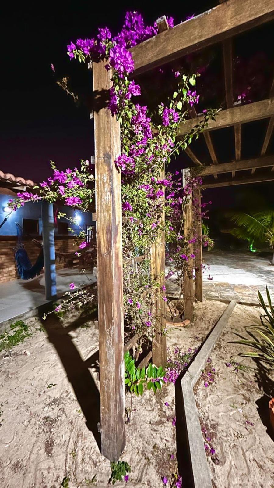 Villa Casa Pierot à Luis Correia Extérieur photo